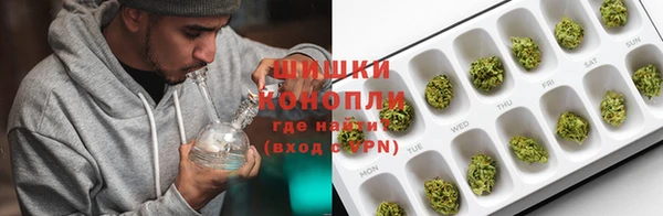 spice Верея