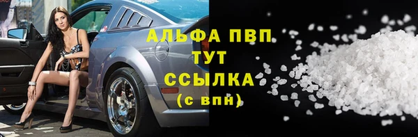 spice Верея