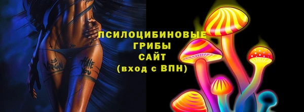 сатива Верхний Тагил