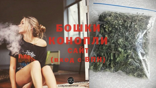 сатива Верхний Тагил