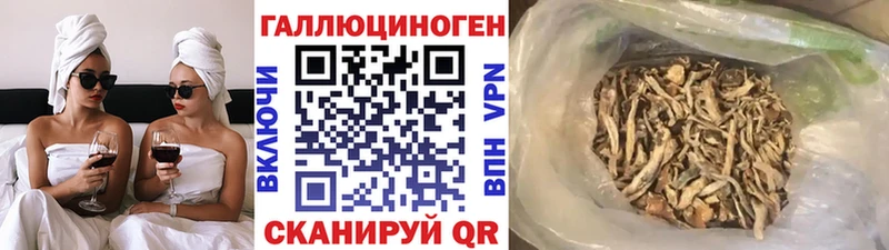 KRAKEN онион  даркнет сайт  Майкоп  Галлюциногенные грибы мицелий 